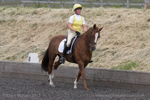 ISIS Dressage Challenge 2008